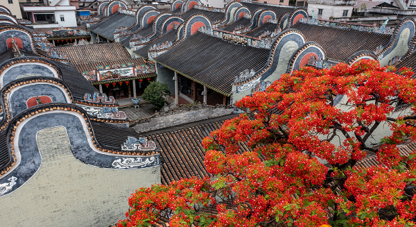 DJI_0465-HDR