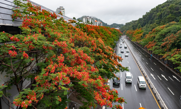 DJI_0542