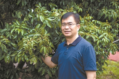 让广州荔枝走向世界2.jpg