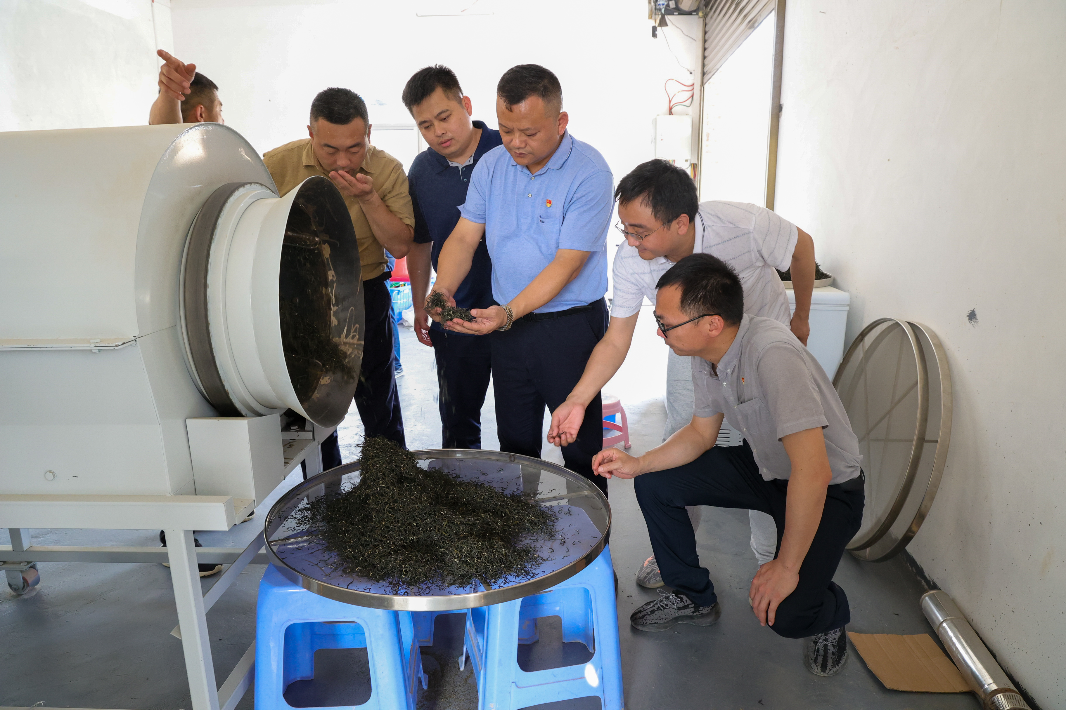 广州市白云区驻石角镇帮镇扶村工作队到越南红心木菠萝和茶叶间种乡村振兴产业基地走访调研。.JPG