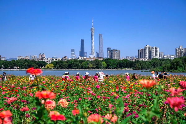 Glamor of GZ in Autumn