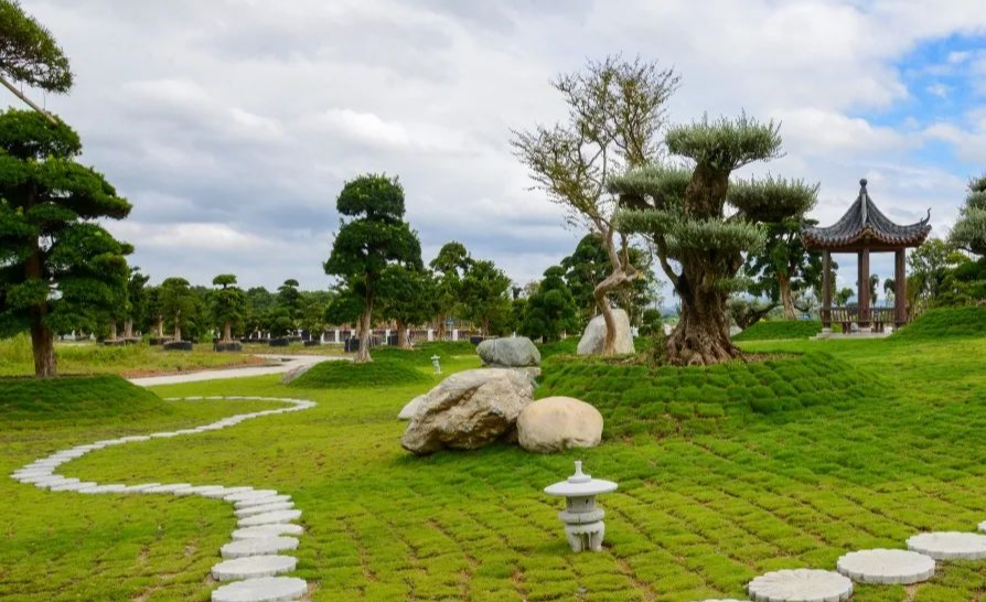 花都区：竹洞村