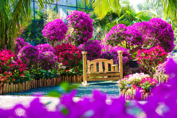 Photo | Enjoy a lovely autumn outing in this garden