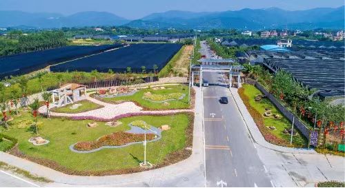 More preferential land and sea use policies launched in Guangdong