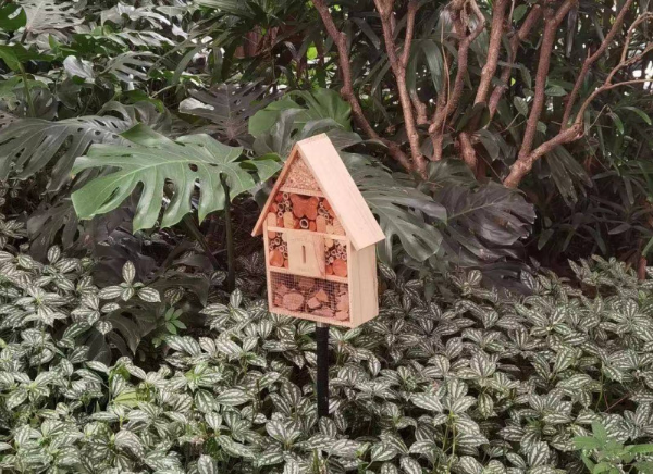 See "Insect Hotel" in Guangzhou Liuhua Lake Park!