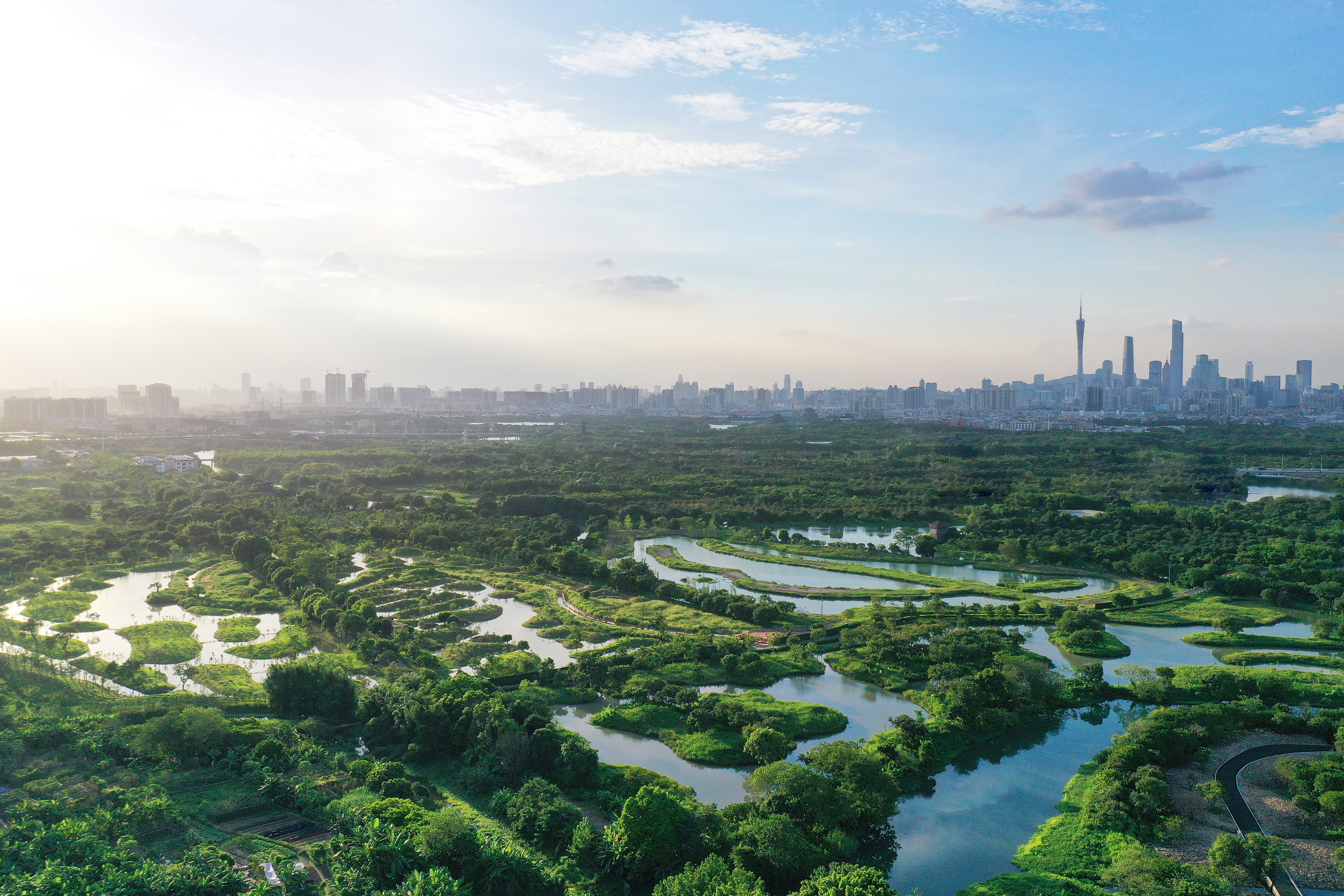 华南国家植物园被评为首批广东省环境教育基地示范单位