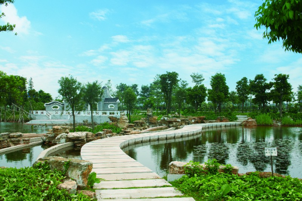 7生物岛绿道.jpg
