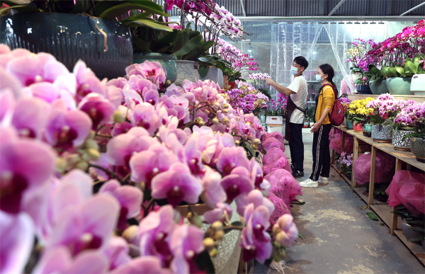 Flowers favored for festivities