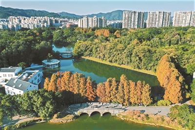 打造国际一流植物园 华南国家植物园将争取更多国际话语权