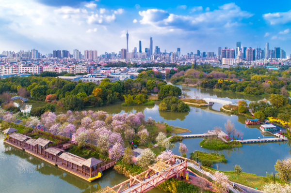 Haizhu Wetland included in international wetlands list