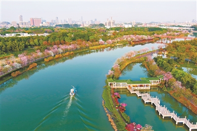 广州坚持生态优先、绿色发展 绘就人与自然和谐共生的壮美画卷