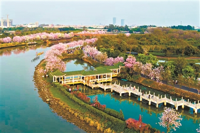 春日广州 满城浪漫