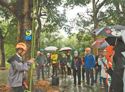 “树艺技能培训”在广州举行 让树木“仁医”管理古树名木
