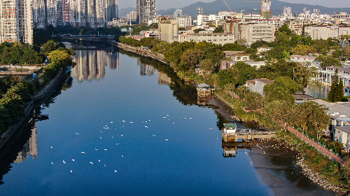 广州市第7号总河长令要求确保石井河口省考断面2020年达到V类水标准.JPG