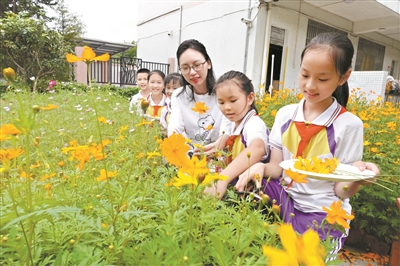 广州构建高质量教育体系 推进高水平人才高地建设