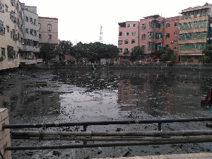双岗鱼塘整治前.jpg