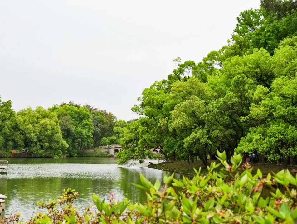 市人大常委会开展“用好本土野生植物，打造绿美广州家园”调研