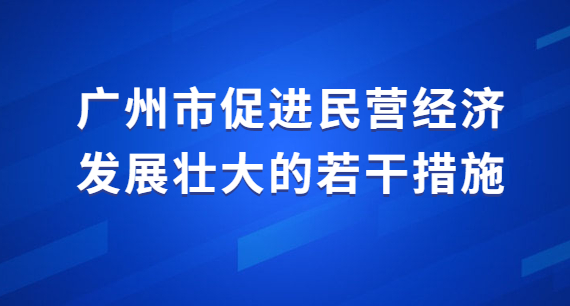 广州市促进民营经济发展壮大的若干措施