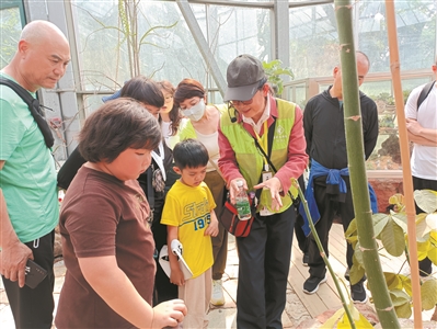 华南国家植物园志愿者“招新”