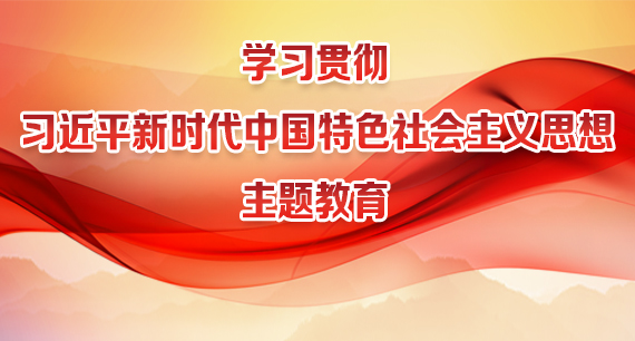 学习贯彻习近平新时代中国特色社会主义思想主题教育