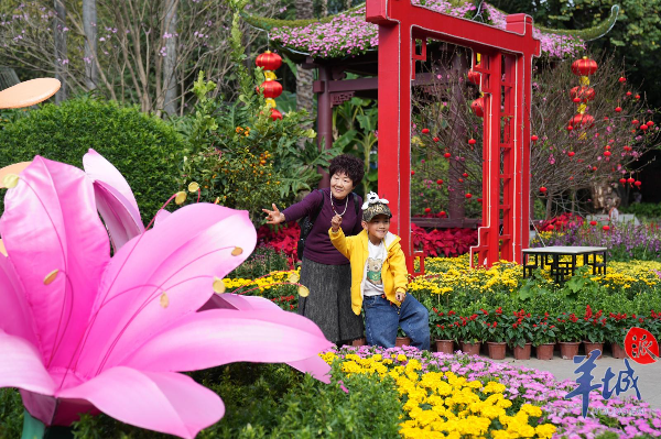 2024 Spring Festival Flower Market in Guangzhou: largest peach tree and kumquat tree on exhibition