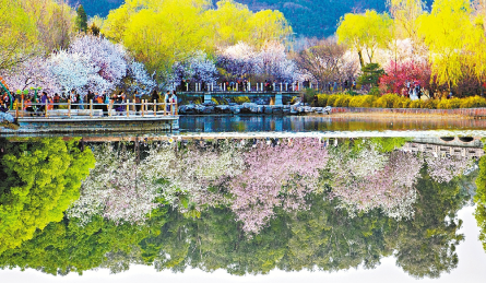 春天的对话 国家植物园“连线”华南国家植物园