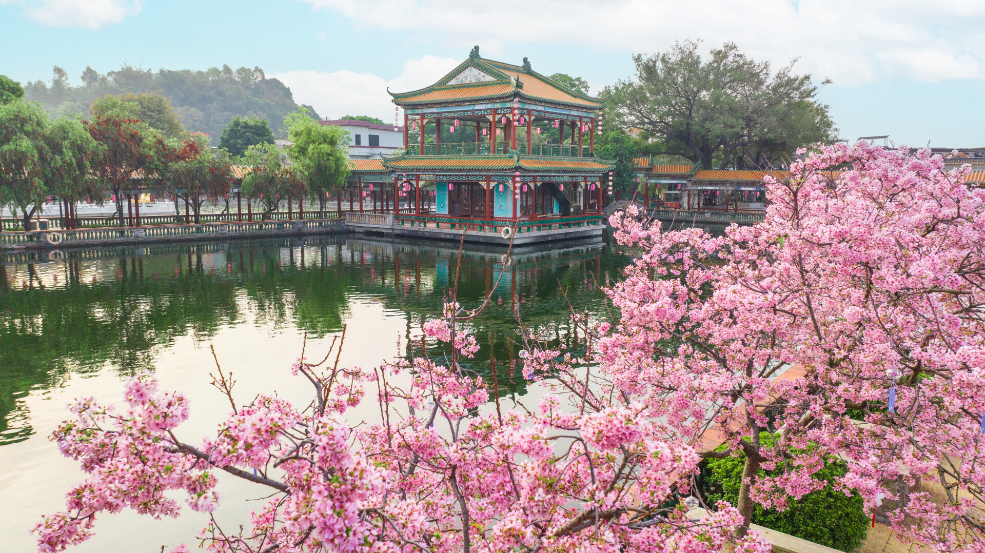 Enjoy cherry blossoms and springtime in Guangzhou's Baomo Garden