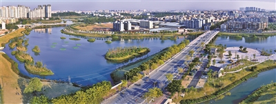 广州市林业和园林局举办2024年无人机造林应用现场观摩会