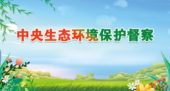 中央生态环境保护督察