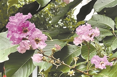 48d2586aaea279426ca3.jpeg