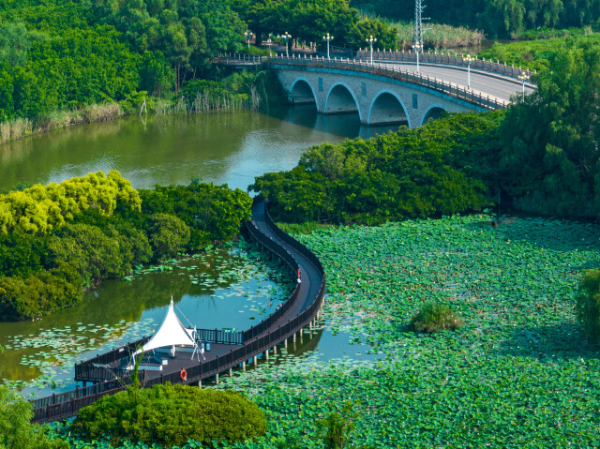 Beating the heat in Guangzhou's refreshing natural hideaways