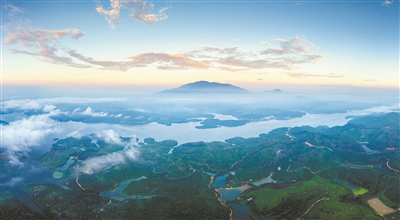 葛洪苏轼来代言 药香千年罗浮山