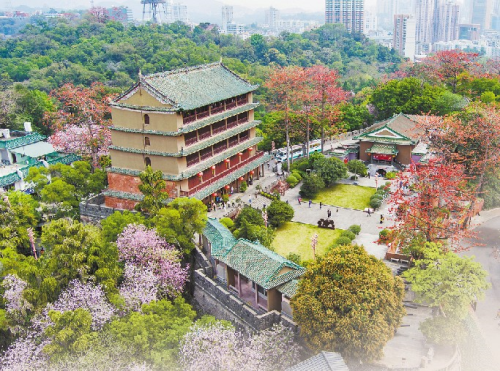 广州是全国最早建立博物馆的城市之一 如今博物馆星罗棋布遍布全城