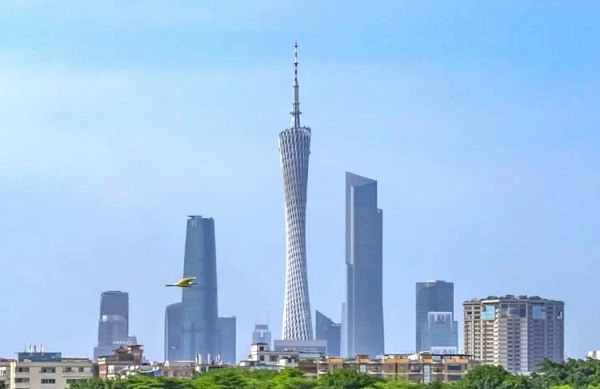 广外广州.jpg