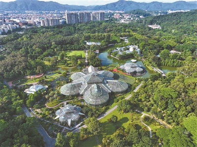 于广州世外桃源 看世界植物奇珍
