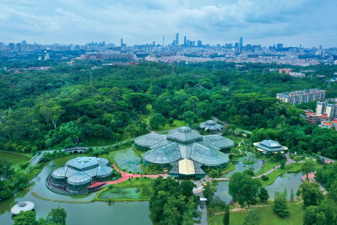 串联广州三大森林公园！市中心森林步道要来了