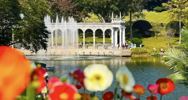 Baiyun Mountain tulip show coming, a 24-day floral extravaganza to Guangzhou
