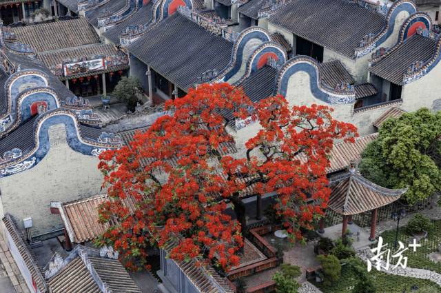 来源：白云区摄影家协会