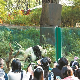 新场景、新玩法、新主题......千场文旅活动 假期等你来
