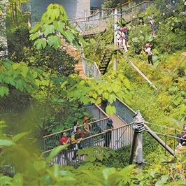 “一站式乡村游” 一开场就旺场