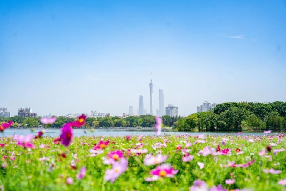 高标准打造广州服务“名片”