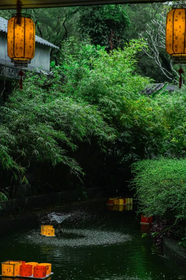 广州拍照·不是苏州！是广州闹市的避世园林‼️_9_背着相机去行走📸_来自小红书网页版.jpg