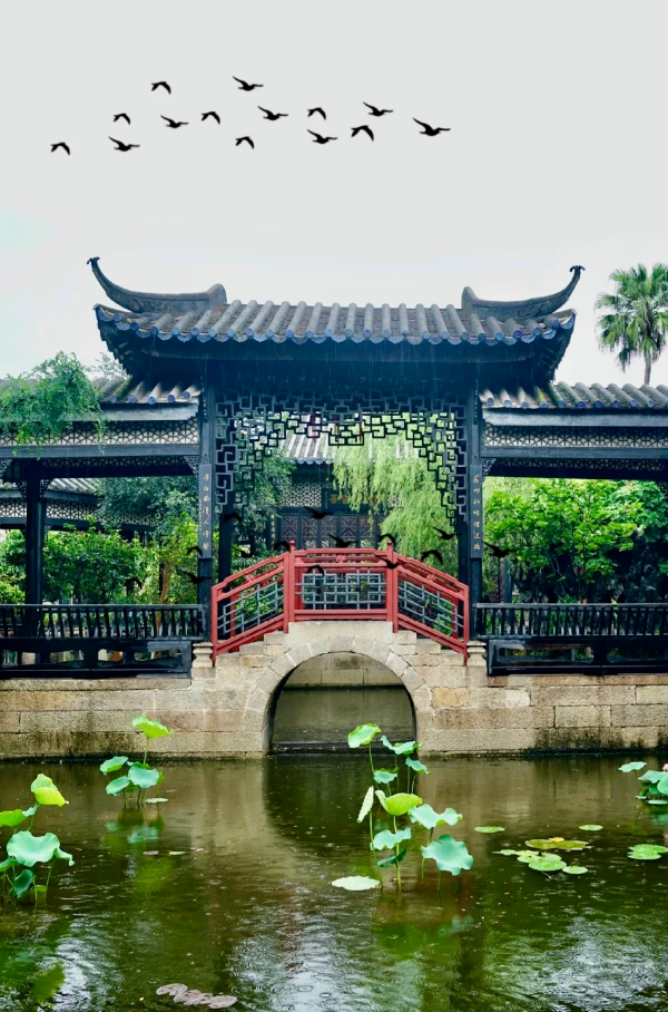 雨天的广州余荫山房，拍照太有氛围感了！_2_小桑哥_来自小红书网页版.jpg