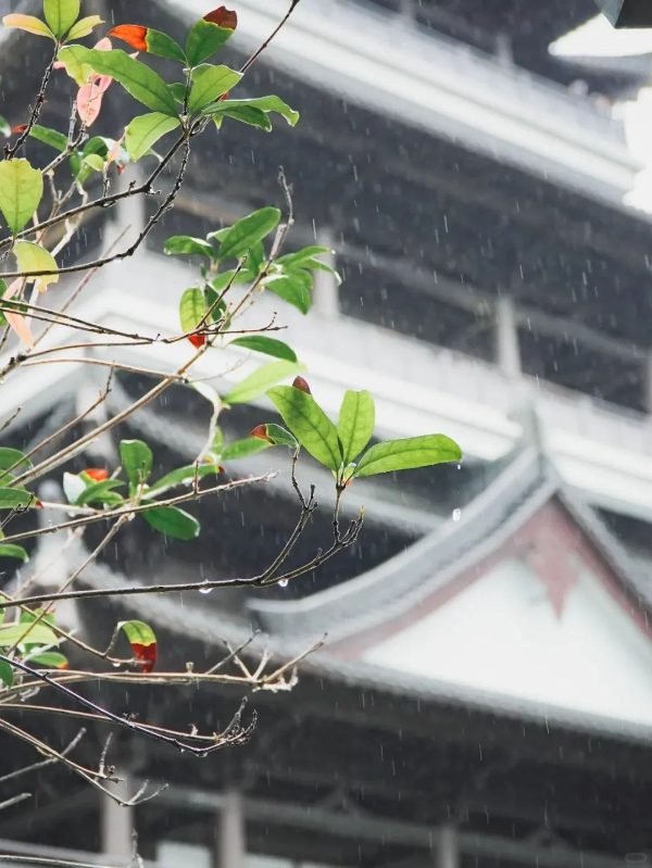 ‼️下雨天广州市文化馆的打开方式_6_广州市文化馆_来自小红书网页版.jpg