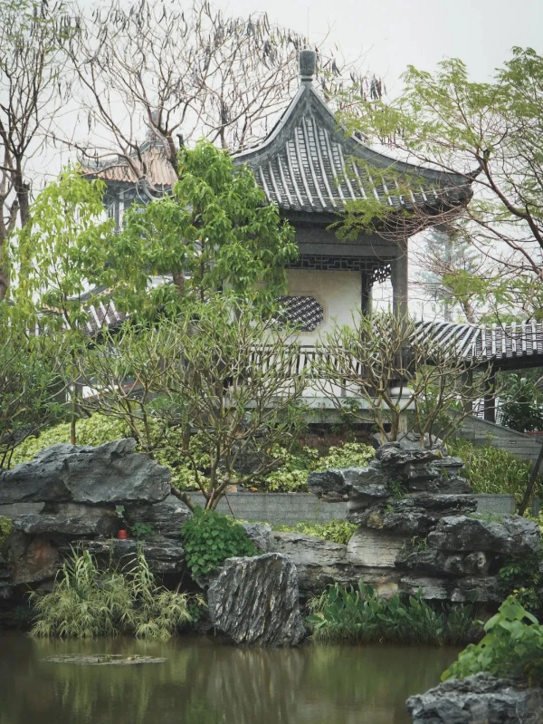 ‼️下雨天广州市文化馆的打开方式_7_广州市文化馆_来自小红书网页版.jpg