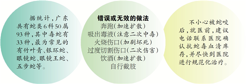 491e56e4ac5a71fb3733.png