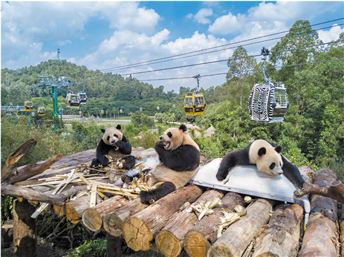 广州韵味：从早到晚“有睇头”