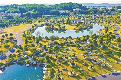 山河入镜 镇村新生