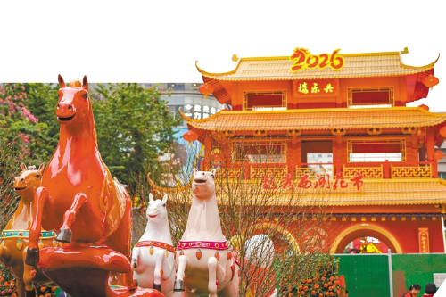 十一区花市牌楼 谁家顶流