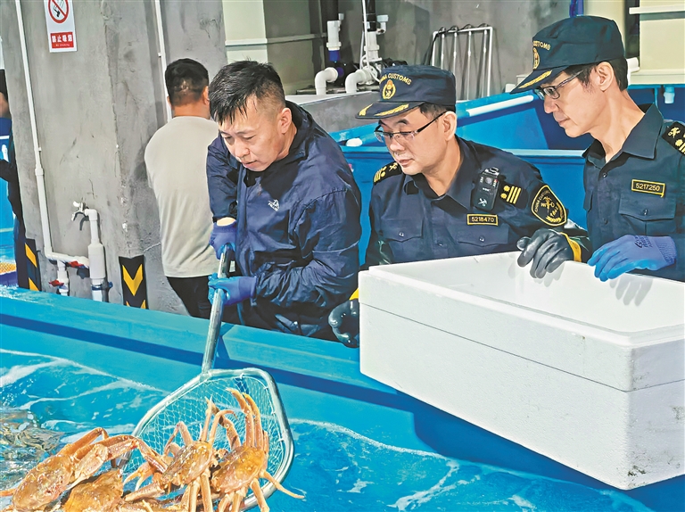 华南地区首个海捕蟹保税仓储项目落地广州黄埔综合保税区